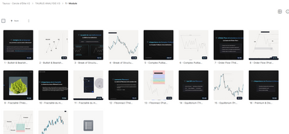 TAURUS ANALYSYS - LA CITADELLE DU NEXUS