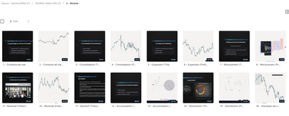 TAURUS ANALYSYS - LA CITADELLE DU NEXUS