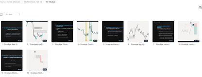 TAURUS ANALYSYS - LA CITADELLE DU NEXUS